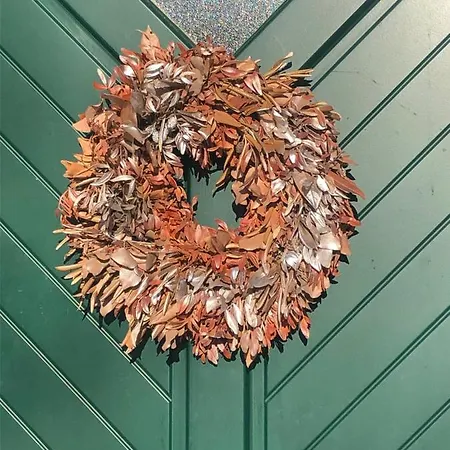 Schwarzindien 아파트 몬드시